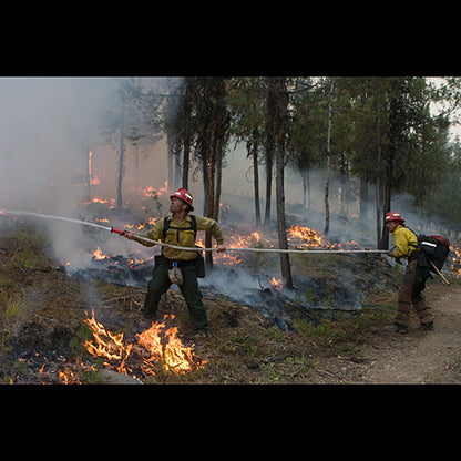 Yellow 1" x 100' Forestry Hose (Alum NPSH Couplings - 10 Pack)