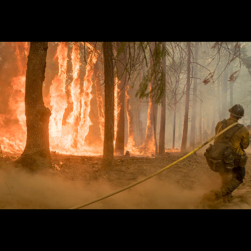 Yellow 1" x 50' Forestry Hose (Alum NPSH Couplings - 10 Pack)